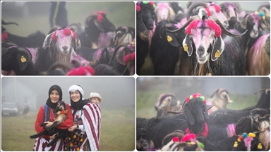 Besiciler rengarenk süsledikleri hayvanlarıyla yaylaya göç etti
