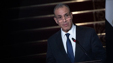 توافق مصري بريطاني على التنسيق بشأن وقف التصعيد بالمنطقة