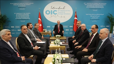 Turkish President Erdogan meets with Iranian Foreign Minister Araghchi to discuss Israel-Iran conflict