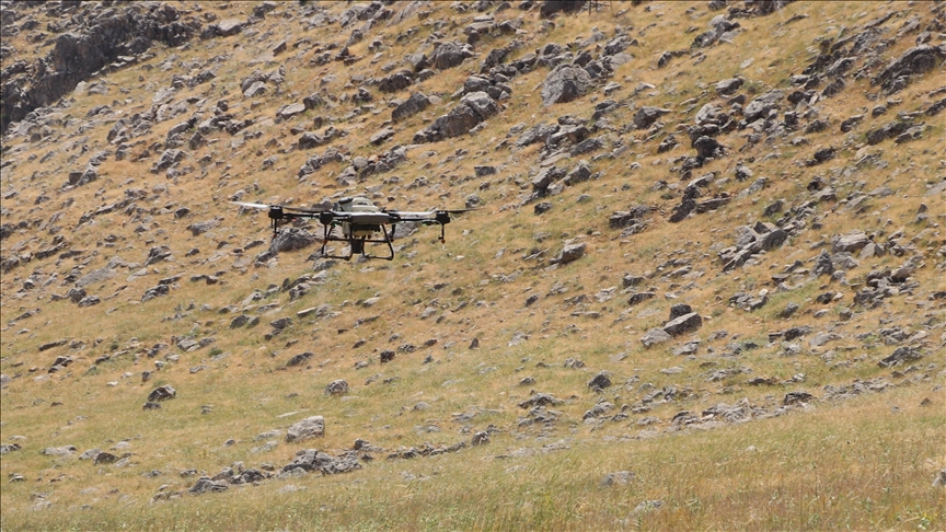 Siirt'te çekirgelere karşı dronla ilaçlama yapılıyor