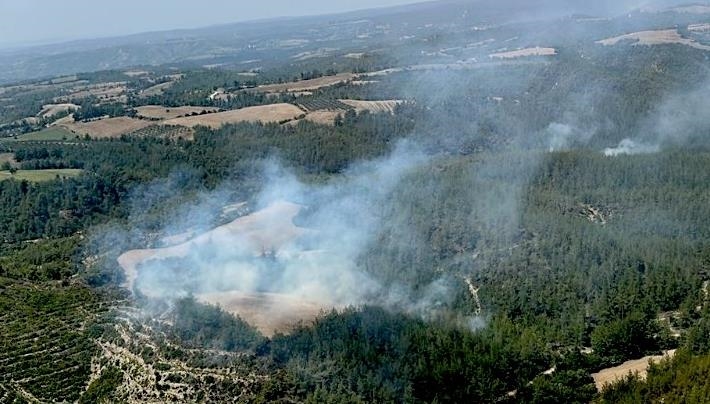 Adana'da orman yangını çıktı 