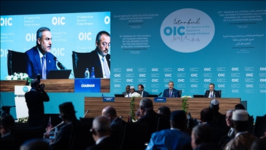 OIC objavio Istanbulsku deklaraciju osuđujući izraelske napade i pozivajući na globalnu akciju