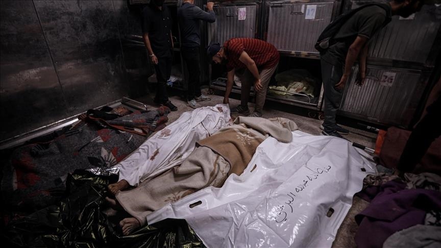 Gaza: près de 56 000 Palestiniens tués dans la guerre génocidaire d’Israël
