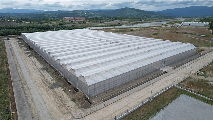 Zonguldak'taki sera organize tarım bölgesi ülke ekonomisine yıllık 750 milyon lira katkı verecek