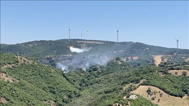 Balıkesir'de çıkan orman yangınına müdahale ediliyor