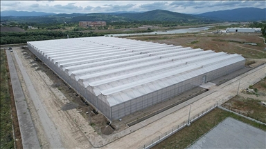 Zonguldak'taki sera organize tarım bölgesi ülke ekonomisine yıllık 750 milyon lira katkı verecek
