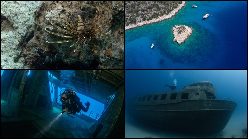 Renkli su altı dünyasının merkezi: Kaş