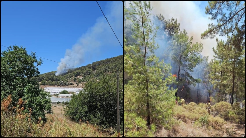 Antalya'da çıkan orman yangını kontrol altına alındı