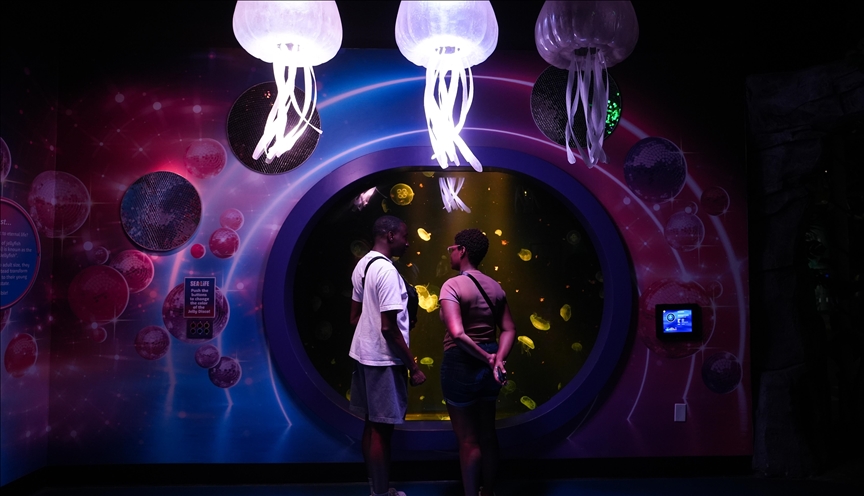 Akuariumi SEA LIFE në qendrën tregtare "American Dream" tërheq vizitorët me ekspozita detare