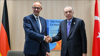 Turkish president meets with German chancellor on sidelines of NATO summit