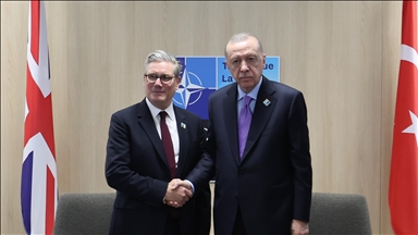 Turski predsjednik sastao se s britanskim premijerom na marginama samita NATO-a