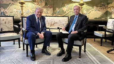 Turkish President Erdogan, Trump discuss regional, bilateral issues at NATO summit