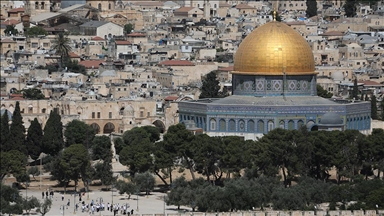 217 مستوطنا إسرائيليا يقتحمون المسجد الأقصى