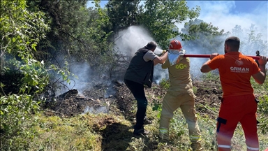 Muğla'da çıkan orman ⲹԲıı söndürüldü