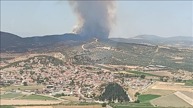 İzmir'in Foça ve Aliağa ilçelerinde orman yangını