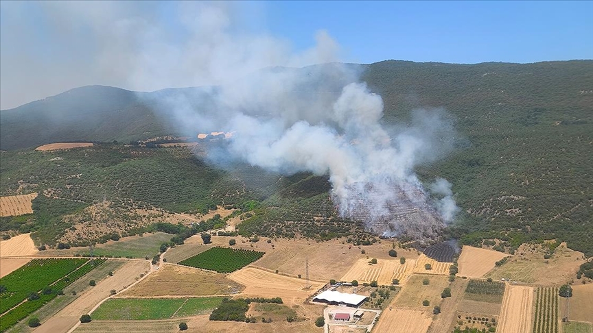 Bursa'da çıkan orman yangınına müdahale ediliyor