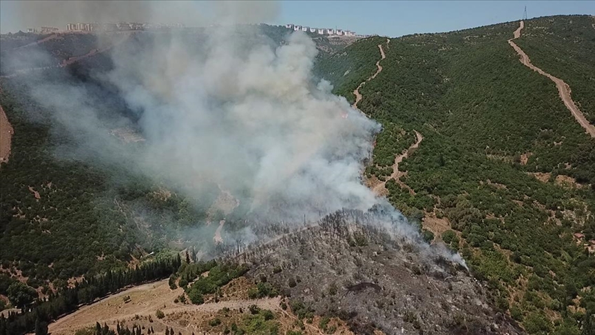 Kocaeli'de makilik ve ağaçlık alanda çıkan yangın kontrol altına alındı