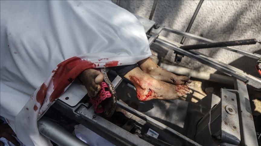 La cifra de muertos en Gaza supera los 56.100 a medida que la guerra israelí contra el enclave continúa