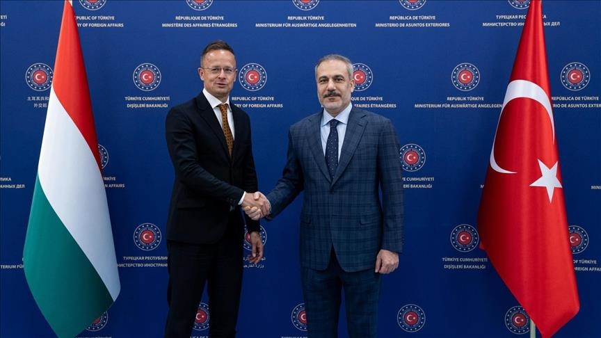 Turkish, Hungarian foreign ministers meet in Ankara