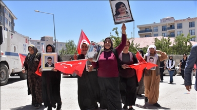 Malbatên Wanî çalakiya xwe ya li ber Serokatiya DEM Partiyê ya Bajêr domand
