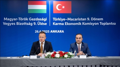 Türkiye-Macaristan 9. Dönem Karma Ekonomik Komisyonu Toplantısı gerçekleştirildi