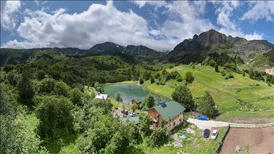 Artvin’in yaylaları yeşilin farklı tonlarıyla doğaseverleri ağırlıyor