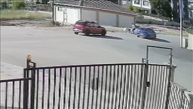 Bursa'da köpeğini gezdiren kadına başka köpeklerin saldırması güvenlik kamerasında