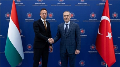Turkish, Hungarian foreign ministers meet in Ankara 