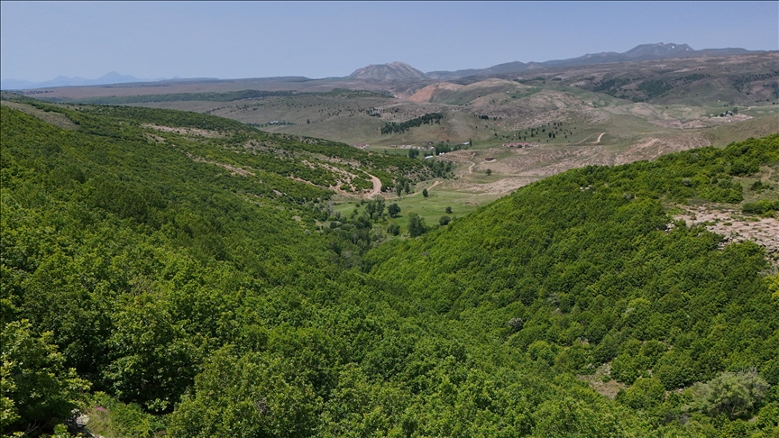 Maqedoni e Veriut, nga 1 korriku hyn në fuqi ndalimi i plotë i lëvizjes në pyje