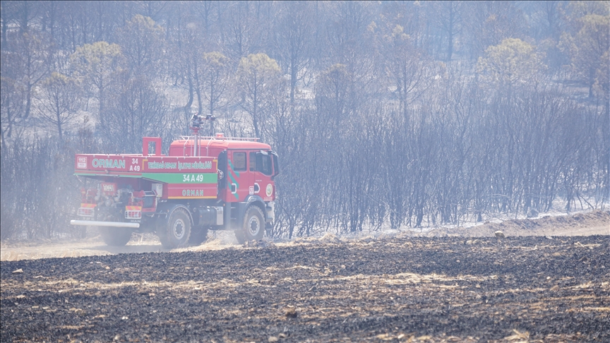 Tekirdağ'da çıkan orman yangını kontrol altına alındı