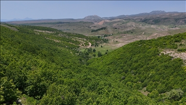 Maqedoni e Veriut, nga 1 korriku hyn në fuqi ndalimi i plotë i lëvizjes në pyje