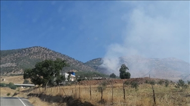 Kahramanmaraş'ta çıkan orman yangınına müdahale ediliyor