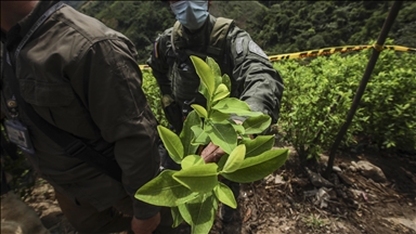 Global cocaine trade hits record highs, driven by Colombian surge: UNODC