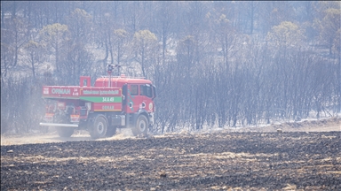 Tekirdağ'da çıkan orman yangınına havadan ve karadan müdahale ediliyor