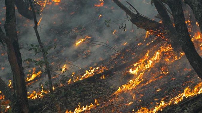 BiH: Veliki požar u Ljubuškom, vatra prijeti kućama