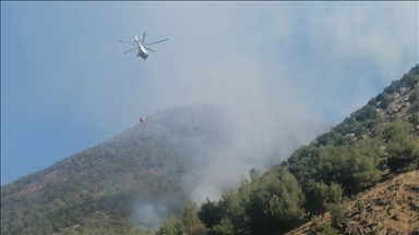Kahramanmaraş'ta çıkan orman yangınını söndürme çalışmaları sürüyor