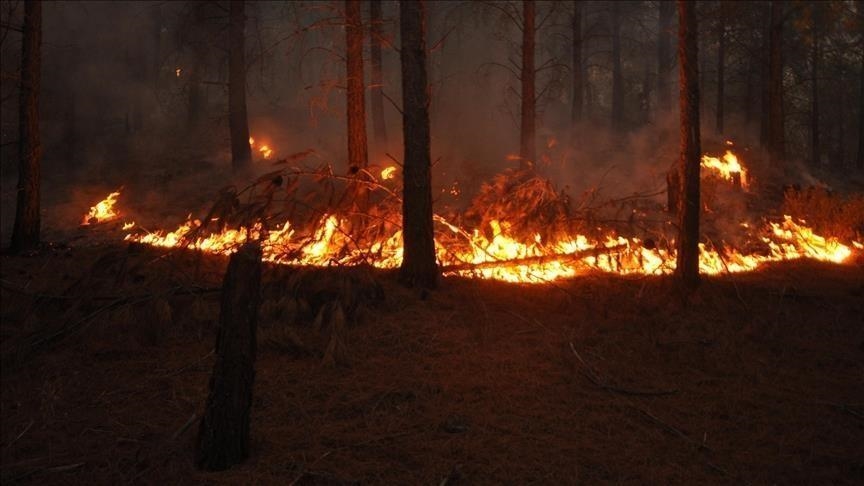 Požari kod Gruda i Ljubuškog i dalje aktivni, ugrožene kuće