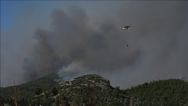 Ormanlık alanlarda çıkan yangınlara havadan ve karadan müdahale ediliyor