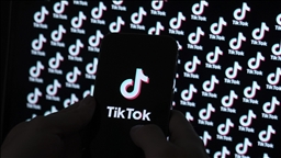 Trump says 'wealthy' group plans TikTok purchase