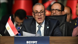 Egypt says working on 60-day Gaza ceasefire