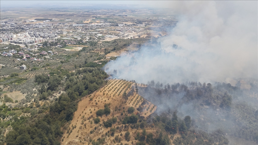 Hatay'da ormanlık alanda ⲹԲı çıktı