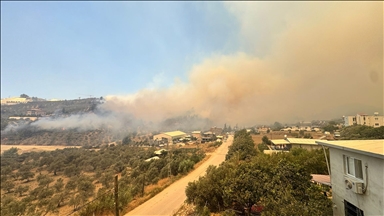 Hatay'da ormanlık alanda yangın çıktı 