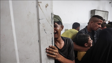 Failure to enforce UN resolutions enables Israel's war crimes: Palestinian envoy