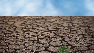 السعودية و62 دولة تطالب الدول المتقدمة بتمويل العمل المناخي