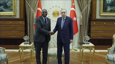 دیدار اردوغان و لمی در آنکارا