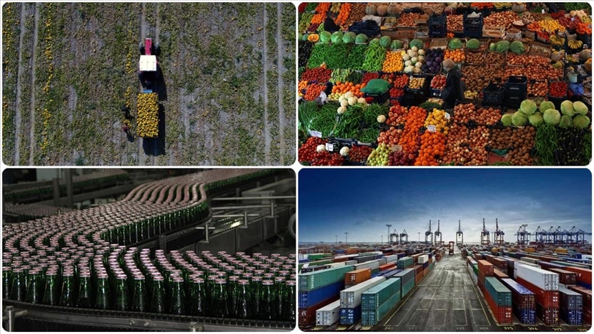 Tarım, gıda ve içecek sektöründen ilk 5 ayda 11,54 milyar dolarlık ihracat