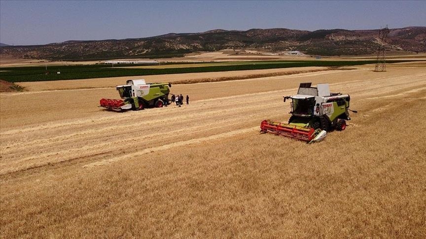 TMO, hububat alım bedellerini üreticilerin hesaplarına aktarmaya başladı