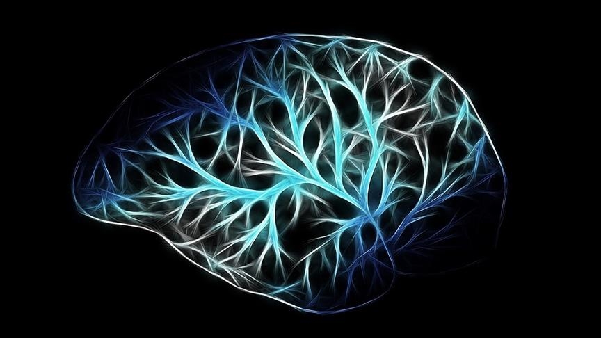 Brain sugar glycogen helps manage oxidative stress, may slow Alzheimer’s disease: Study