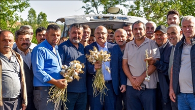 Kastamonu'da hasadın ardından Taşköprü Sarımsak Pazarı açıldı