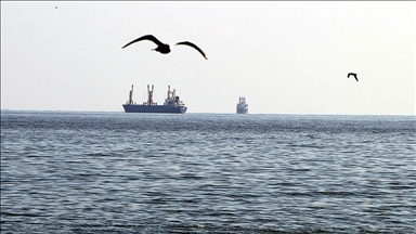 Türkiye, Türk sahipli deniz ticaret filosuyla dünyada ilk 10 hedefine ilerliyor